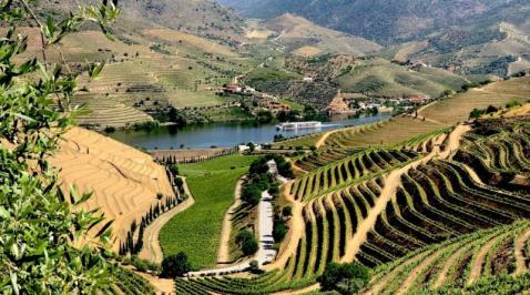 vins-du-portugal.jpg