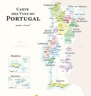 Atelier dégustation : Masterclass 